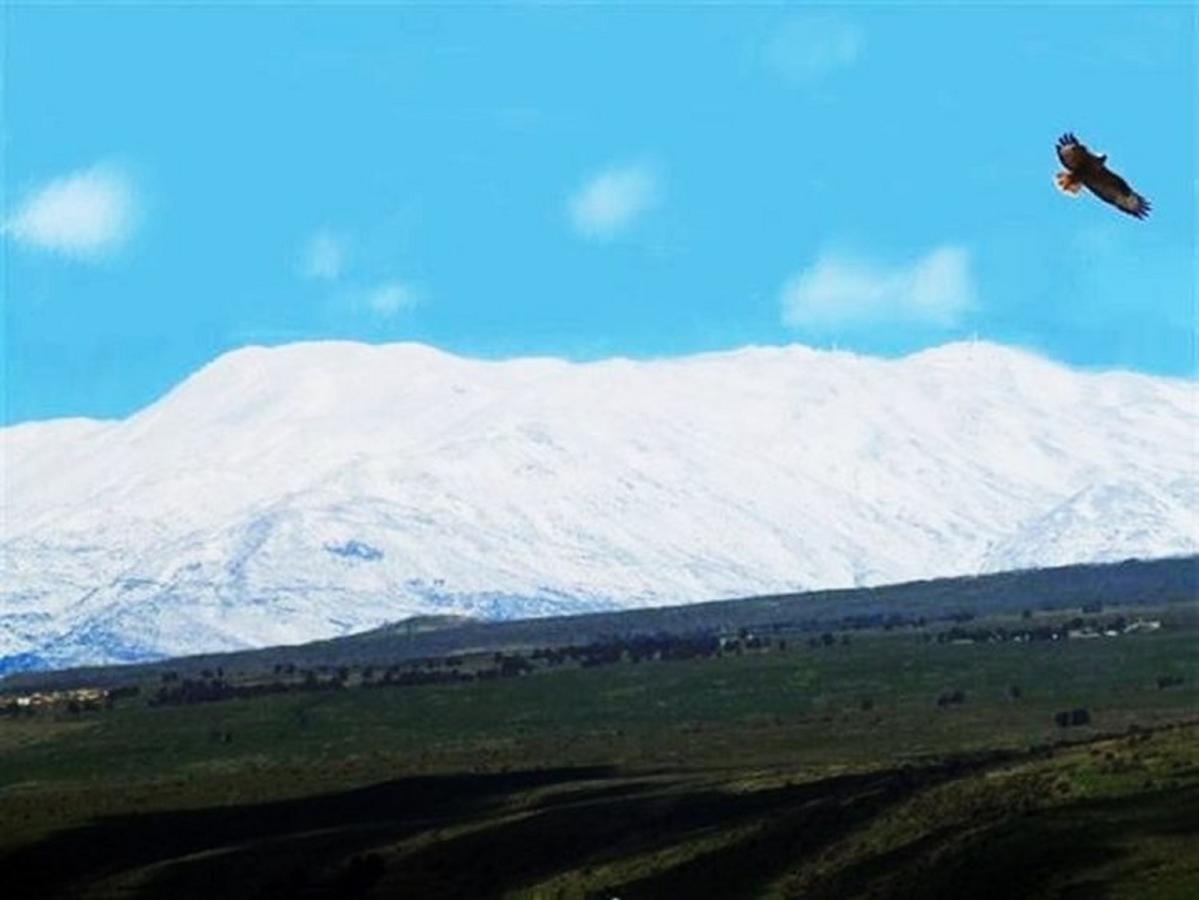 Odem Country Lodging Bed & Breakfast Dış mekan fotoğraf